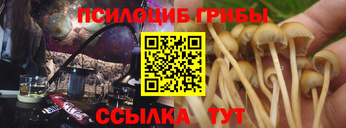 Псилоцибиновые грибы мицелий  Галлюциногенные грибы мухоморы  Вход с VPN  Чебаркуль 